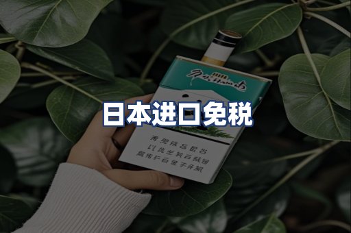 日本进口免税